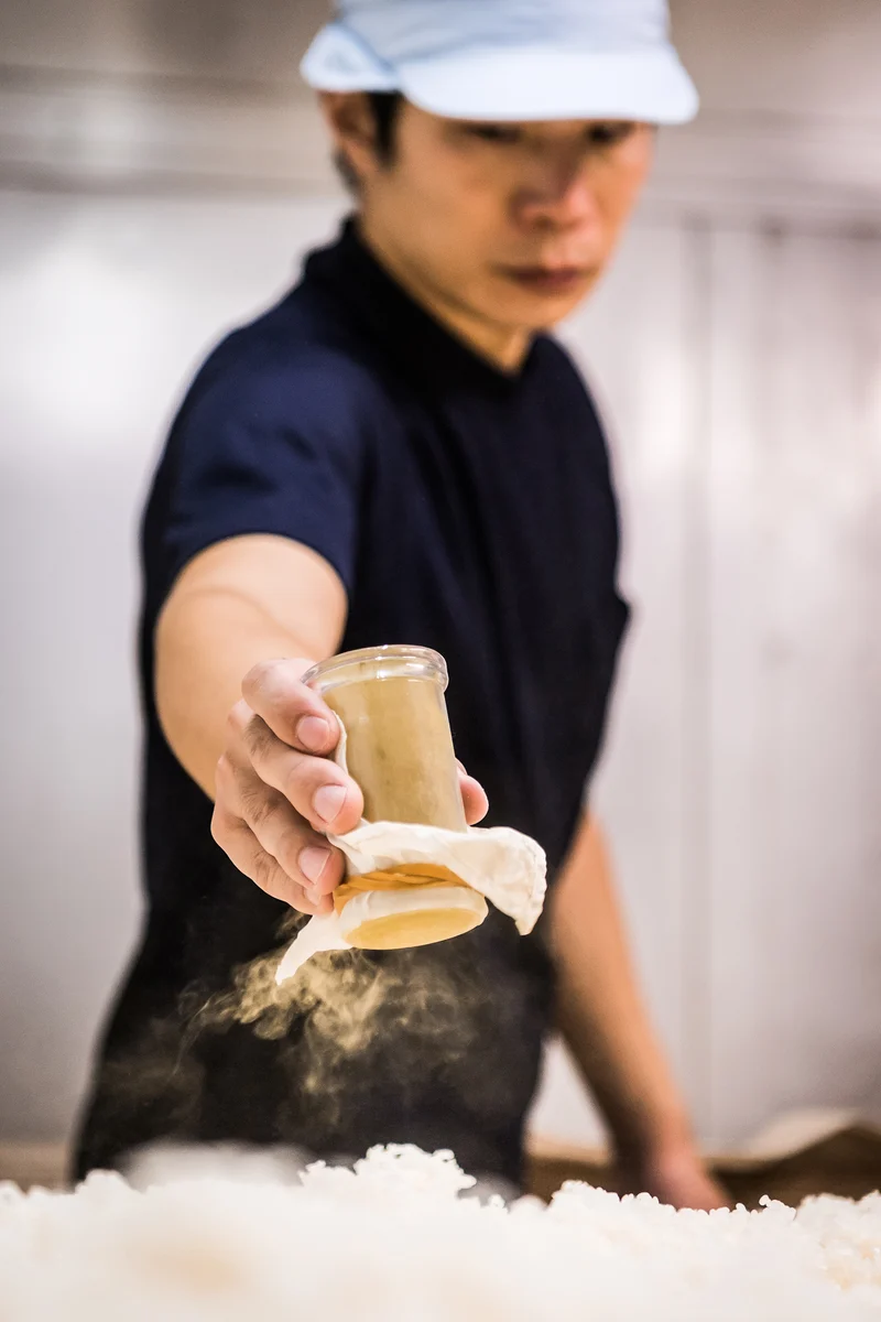 Careful kōji making develops the enzymes that unlock rice starch.