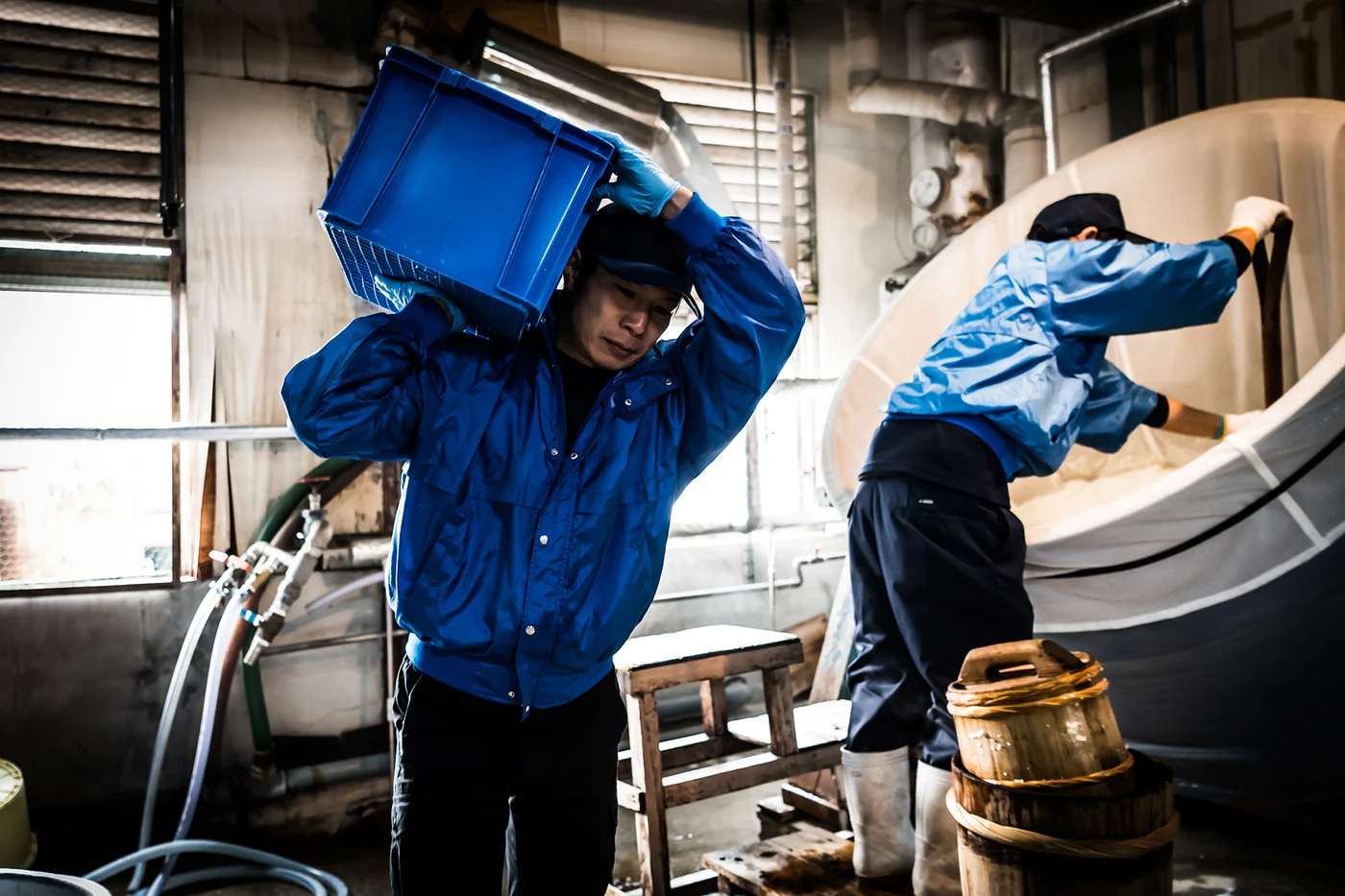 Steamed rice is prepared for the next stage of brewing.
